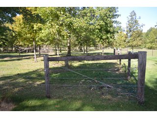 Property photo 63 - 80 +/- Acres Offered in 6 Tracts - Spectacular Farm & Home